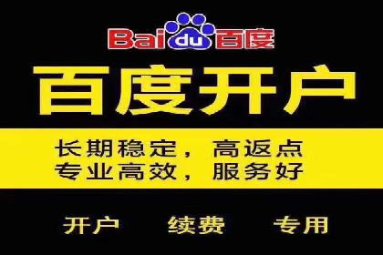 百度SEM广告投放的五大成功案例分享